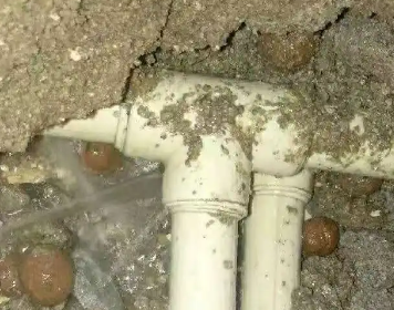 莱州测漏水多少钱