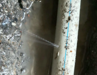 莱州测漏水哪家好