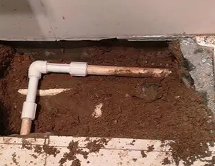 莱州测漏水哪家好