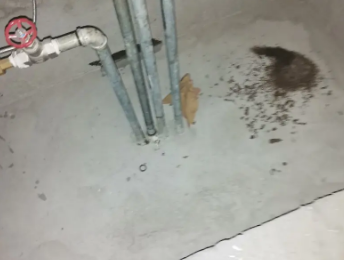 莱州卫生间测漏水价格明细