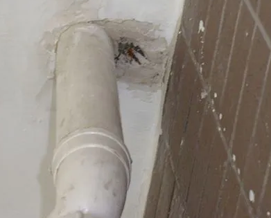 莱州漏水检测哪家好